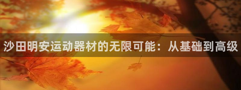 征途国际平台注册要钱吗安全吗：沙田明安运动器材的无限