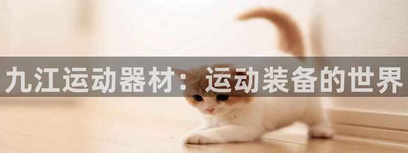 征途国际招商电话号码：九江运动器材：运动装备的世界