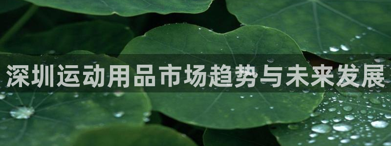 征途国际娱乐平台：深圳运动用品市场趋势与未来发展