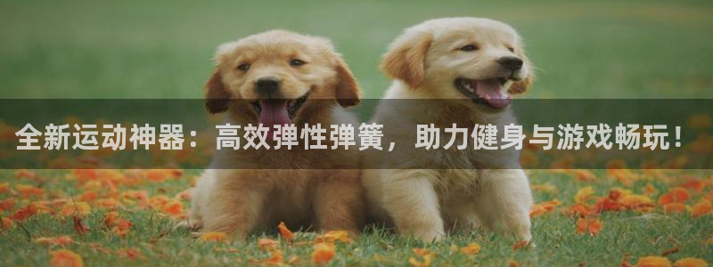 征途国际集团官网首页：全新运动神器：高效弹性弹簧，助力健身与
