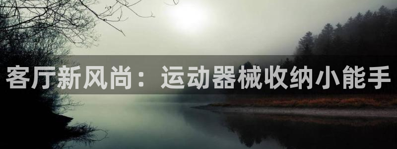 征途国际招商电话地址查询：客厅新风尚：运动器械收纳小能手