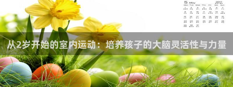 征途国际招商电话是多少号码：从2岁开始的室内运动：培养孩子的