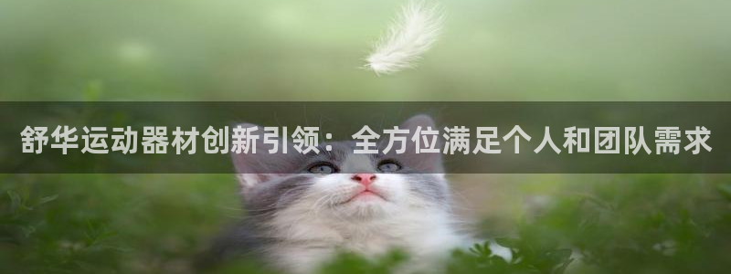 海南征途国际发展怎么样：舒华运动器材创新引领：全方位满足个人