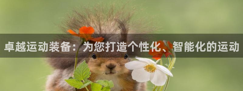 征途国际科技：卓越运动装备：为您打造个性化、智能化的