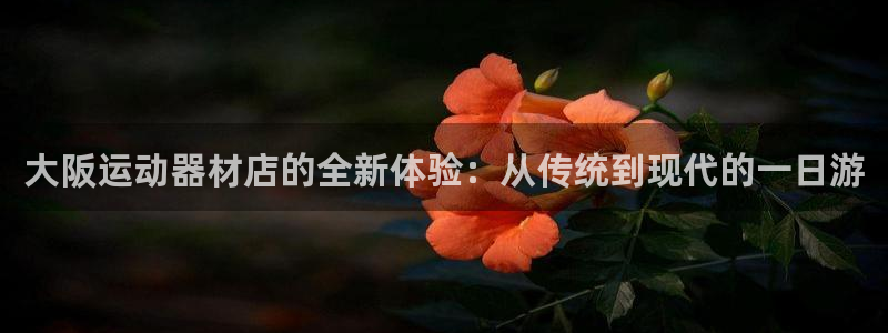 征途国际科技