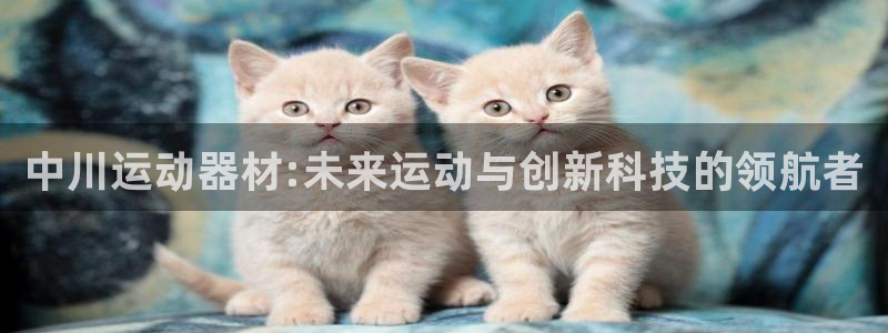 征途国际是干嘛的公司：中川运动器材:未来运动与创新科技的领航