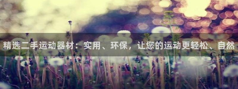 征途国际娱乐首页网站大全：精选二手运动器材：实用、环
