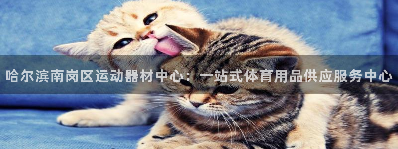 征途国际软件