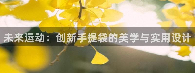征途国际集团官网网址：未来运动：创新手提袋的美学与实用设计