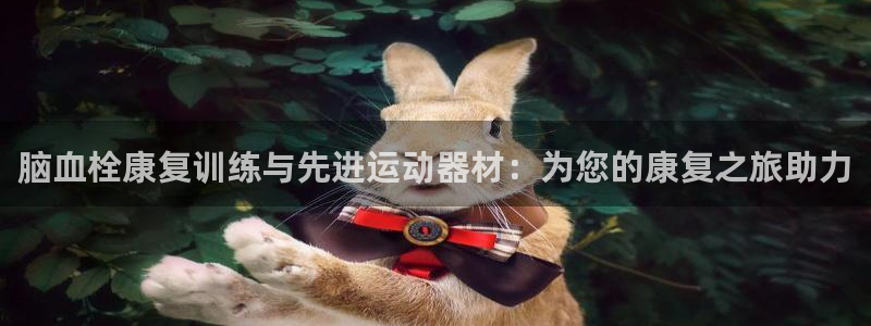 征途国际娱乐：脑血栓康复训练与先进运动器材：为您的康复之旅助