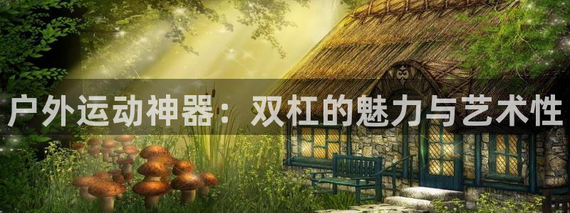征途国际平台注册流程图:户外运动神器:双杠的魅力与艺术性