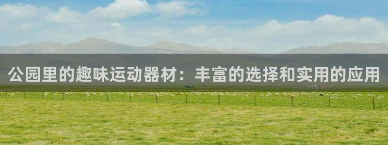 征途国际招商电话号码查询：公园里的趣味运动器材：丰富的选择和