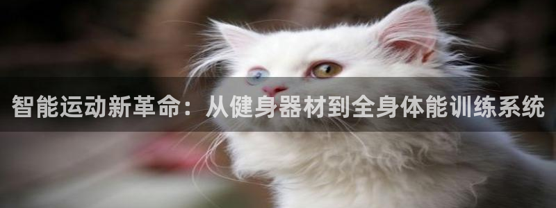 征途国际招商电话号码：智能运动新革命：从健身器材到全身体能训